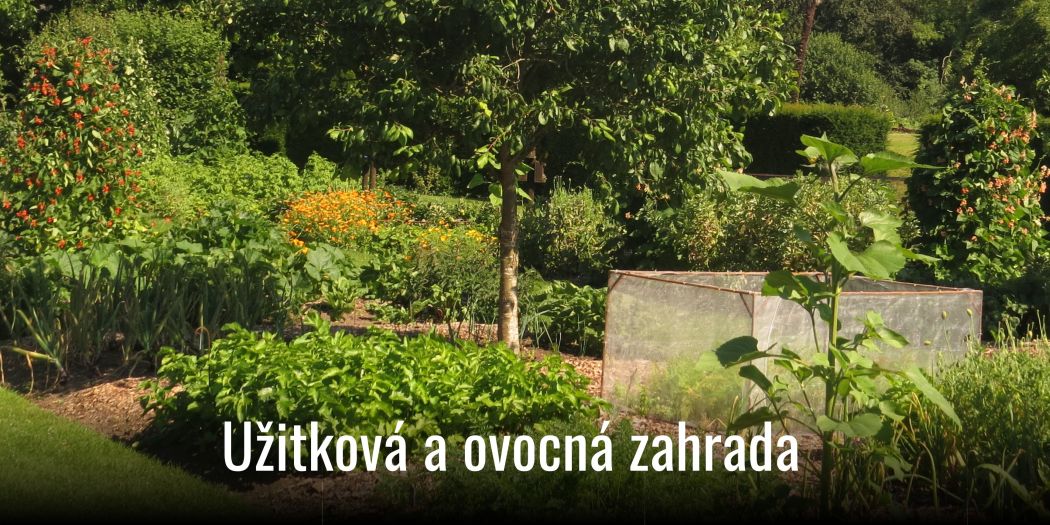 kategorie_Uzitkova_ovocna zahrada 01OBm canva